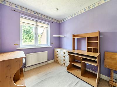 Picture 14